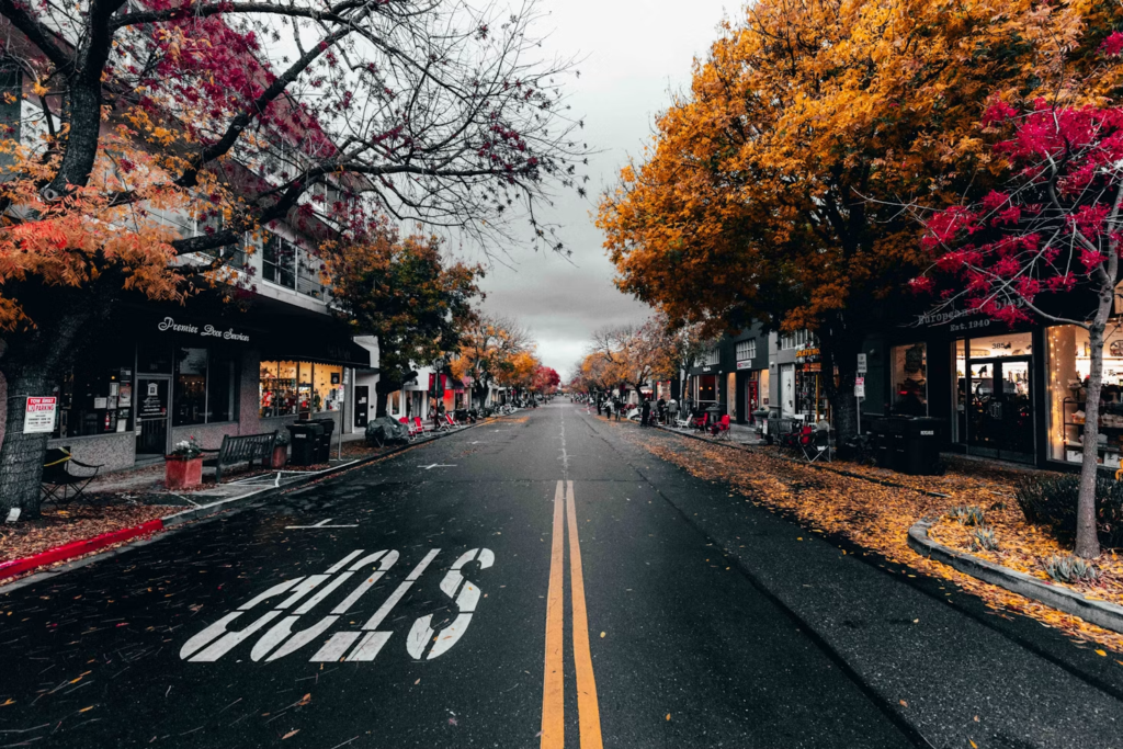 Small-Town Living Close to Silicon Valley